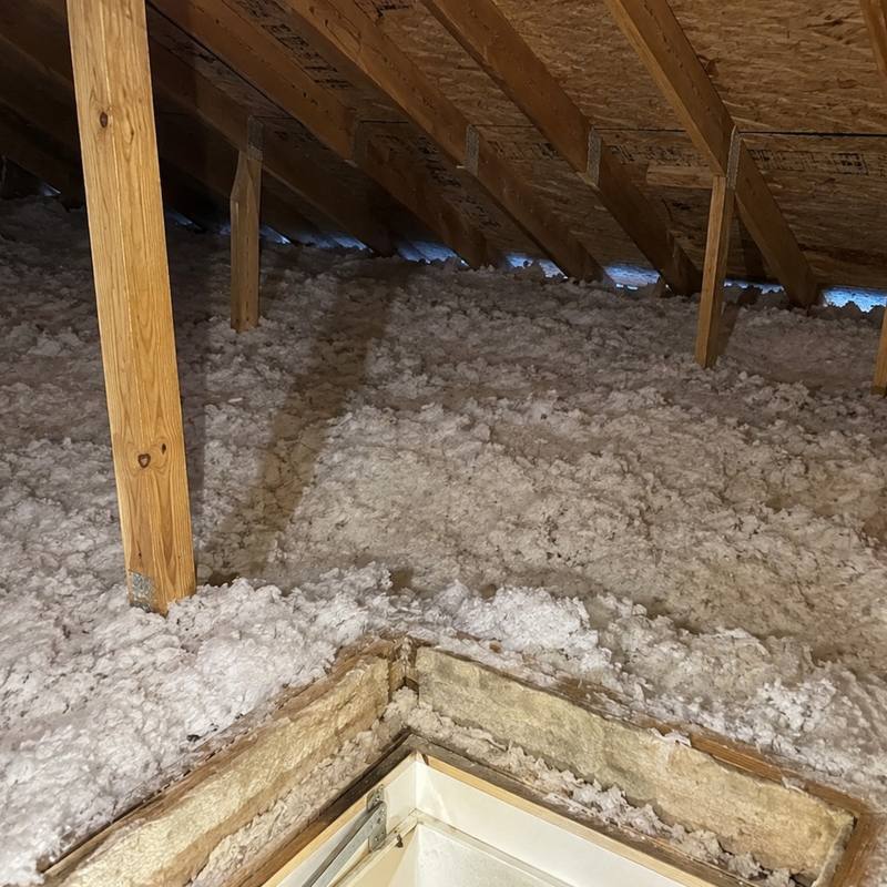White blown-in insulation filling an attic floor around the framed opening of a ceiling hatch, under wood rafters